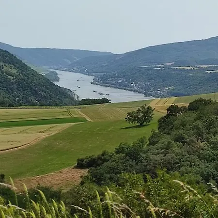 Kleine Auszeit - Heideberg - 