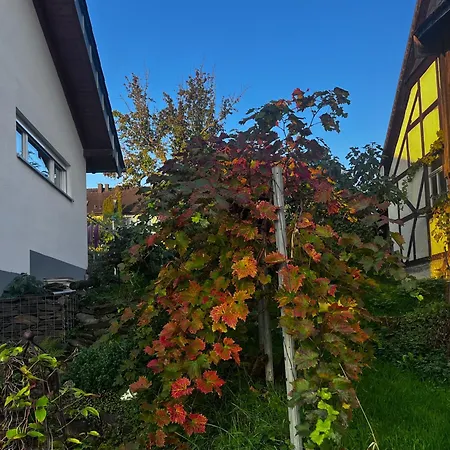 Kleine Auszeit - Heideberg - 