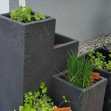 Kleine Auszeit - Heideberg - 