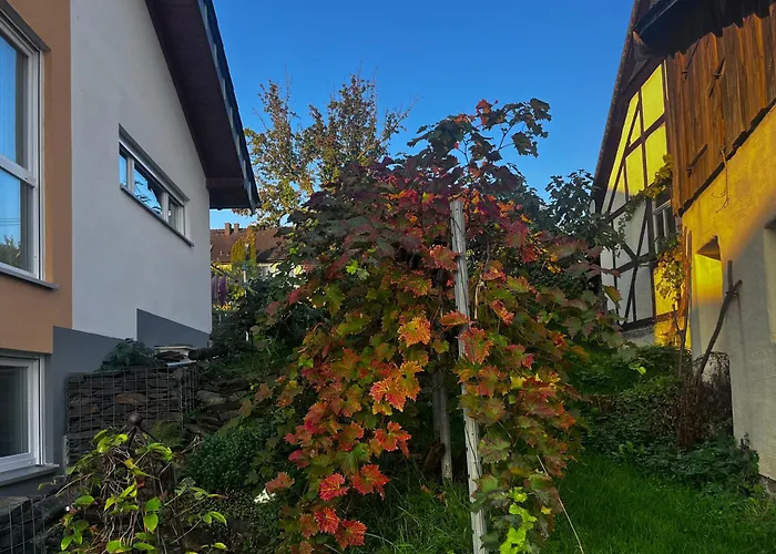 Kleine Auszeit - Heideberg - 