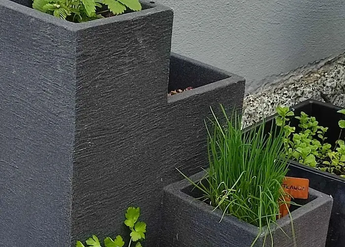 Kleine Auszeit - Heideberg - 